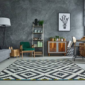 Grey room with pattern carpet and wooden furniture