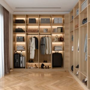 Modern Dressing Room Interior With Wardrobe
