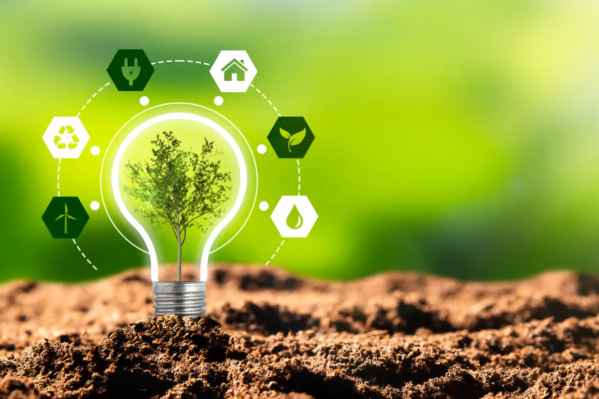 Not Suzlon But Investors Are Focusing On This Green Energy Stock